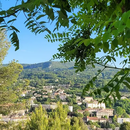 Le Jardin Des Oliviers *