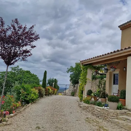 Le Jardin Des Oliviers *